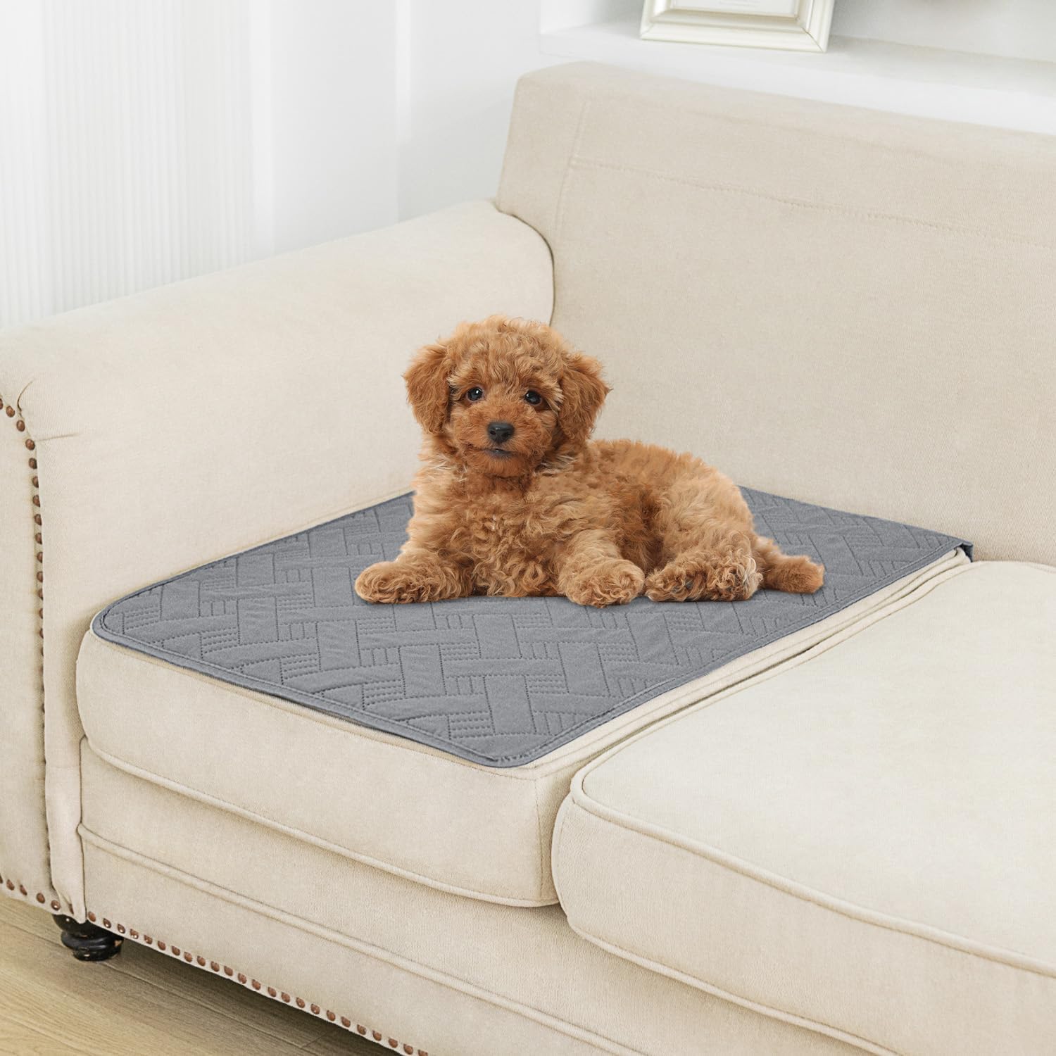 Pets Blanket Light Grey, 20